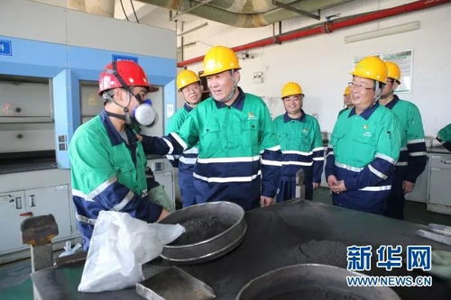 对标一流敢闯敢试 金川集团锐意改革增强内生动力